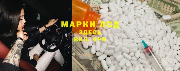 стафф Иннополис
