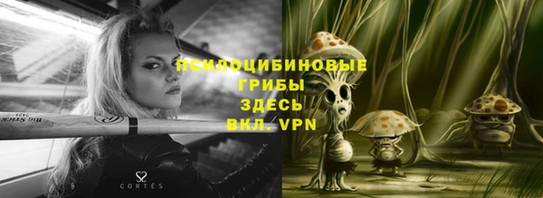 стафф Иннополис