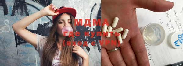 spice Инта
