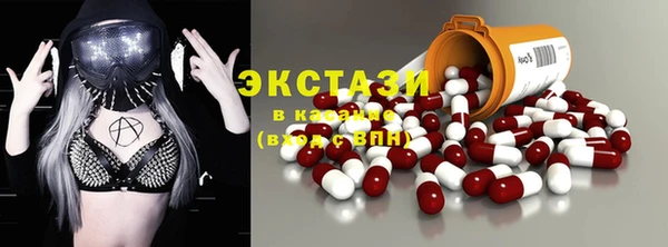 spice Инта