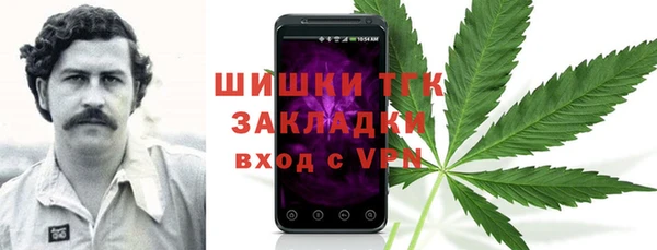spice Инта