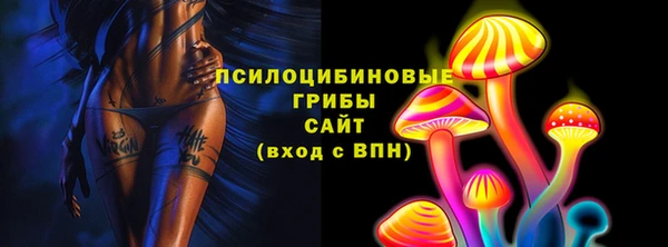 хмурый Инсар