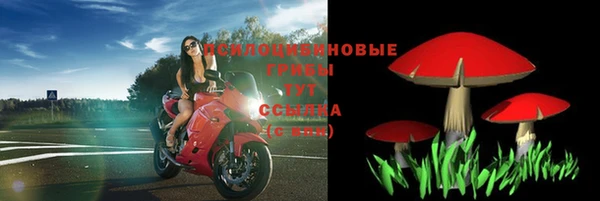 стафф Иннополис