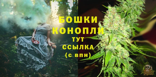spice Инта
