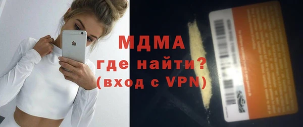 spice Инта