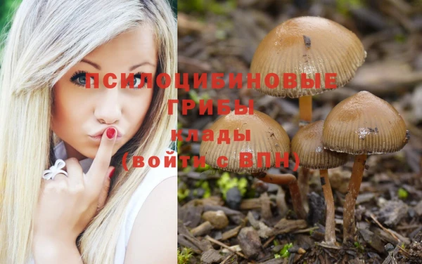 хмурый Инсар