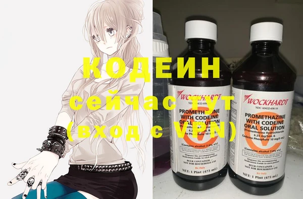 spice Инта