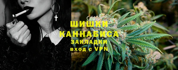 стафф Иннополис