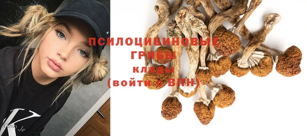 spice Инта