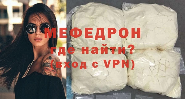 spice Инта