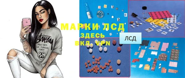 хмурый Инсар