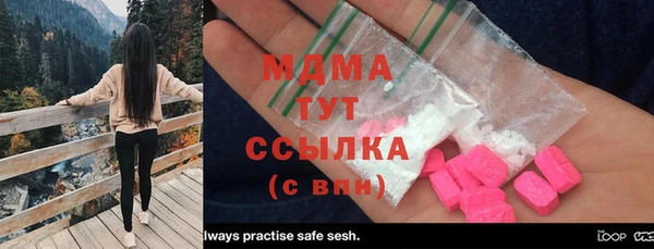 spice Инта