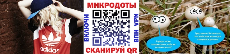 закладка Сенгилей hydra онион Псилоцибиновые грибы мухоморы